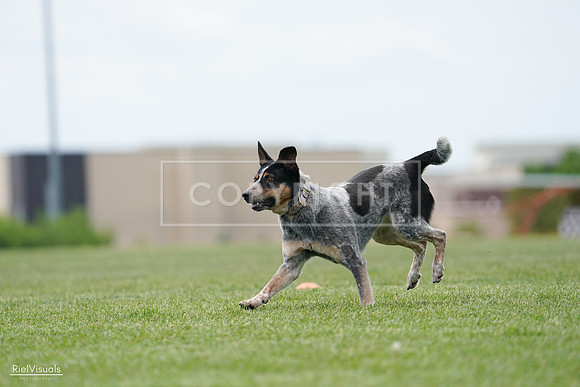 RielVisuals_20240525_125145_SJR01400