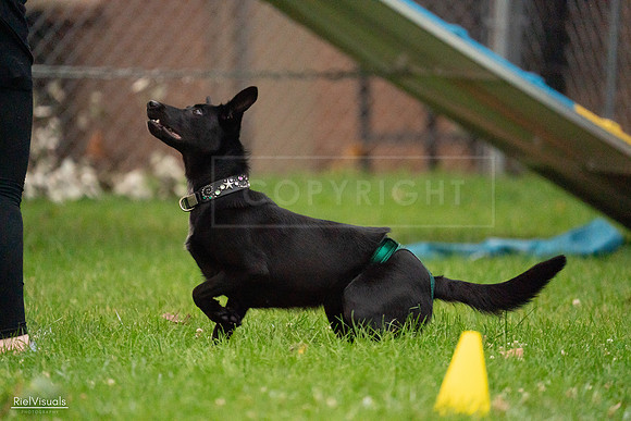 RielVisuals_20240722_195308_SJR02204