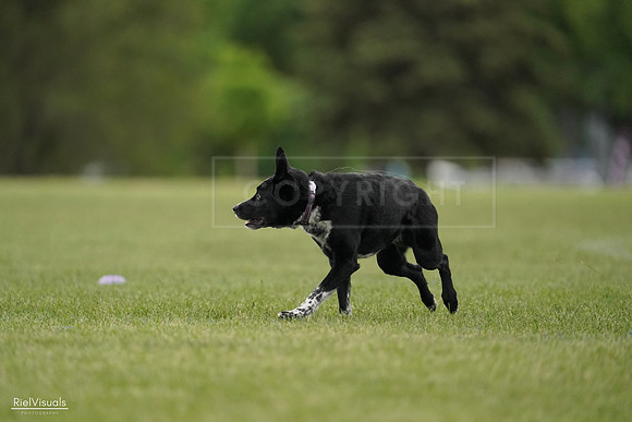 RielVisuals_20240526_132705_SJR07790