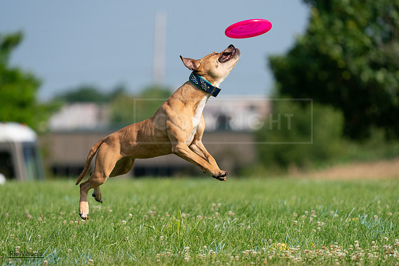 RielVisuals_20240727_093058_SJR06597