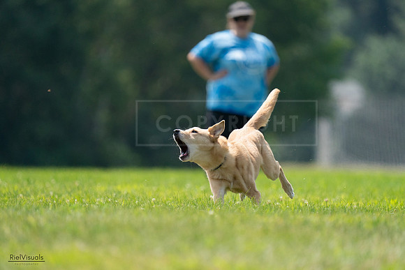 RielVisuals_20240727_120010_SJR04467