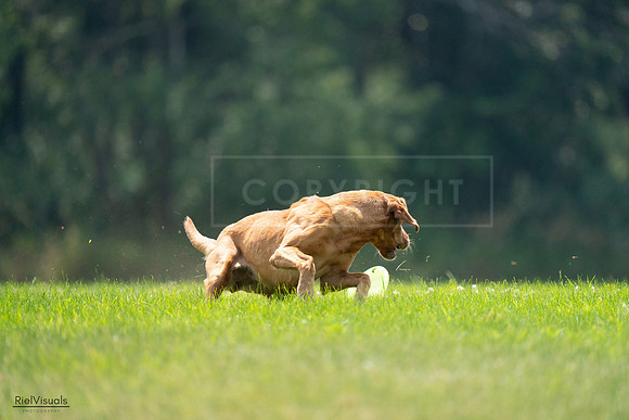 RielVisuals_20240727_122359_SJR05443