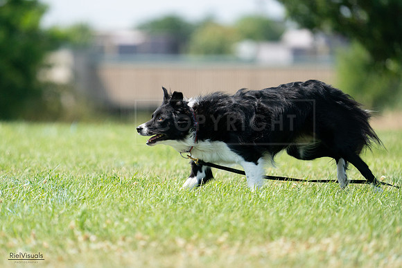 RielVisuals_20240728_152231_SJR00684