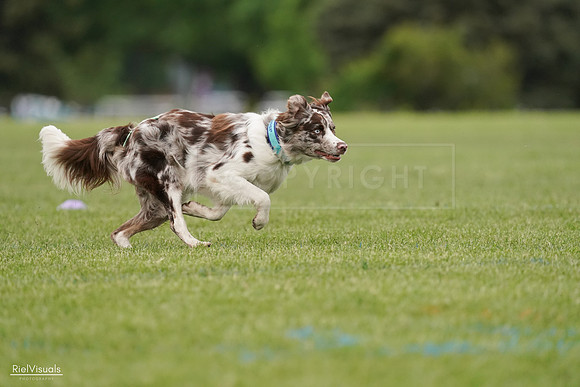 RielVisuals_20240526_110135_SJR00177