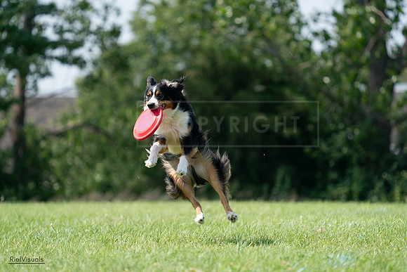 RielVisuals_20240728_144515_SJR09045