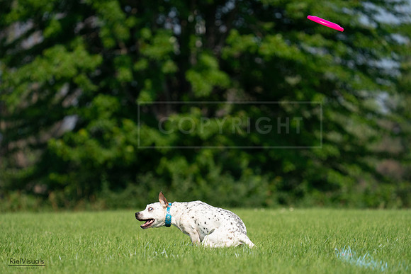 RielVisuals_20240727_095436_SJR08012
