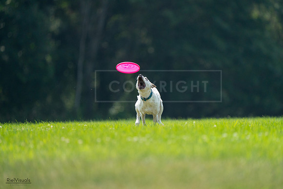 RielVisuals_20240727_120942_SJR04853