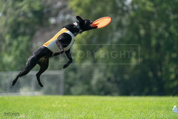 RielVisuals_20240728_131850_SJR05717