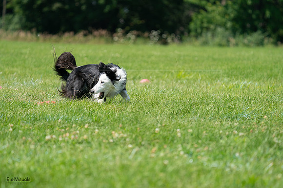 RielVisuals_20240728_113920_SJR01556