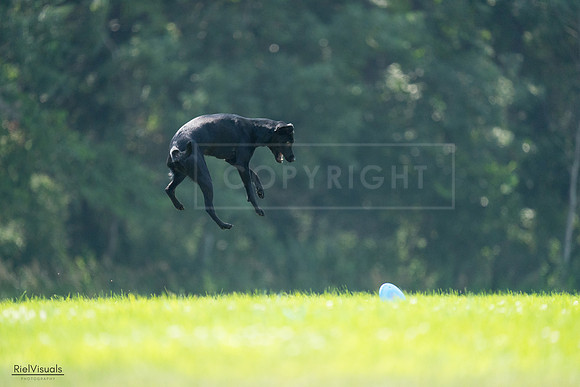 RielVisuals_20240727_122720_SJR05584