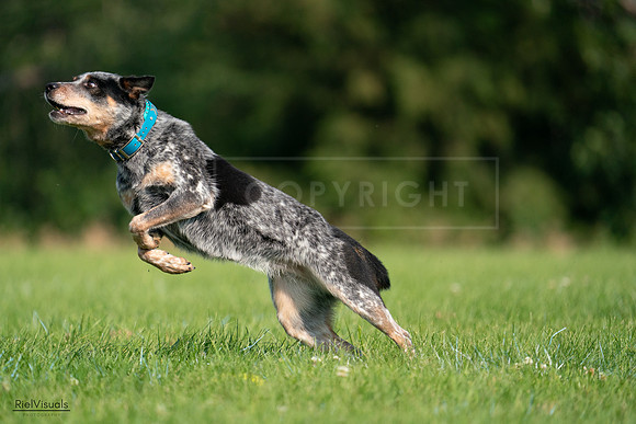 RielVisuals_20240727_094900_SJR07719