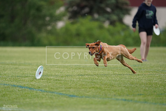 RielVisuals_20240525_160916_SJR03582