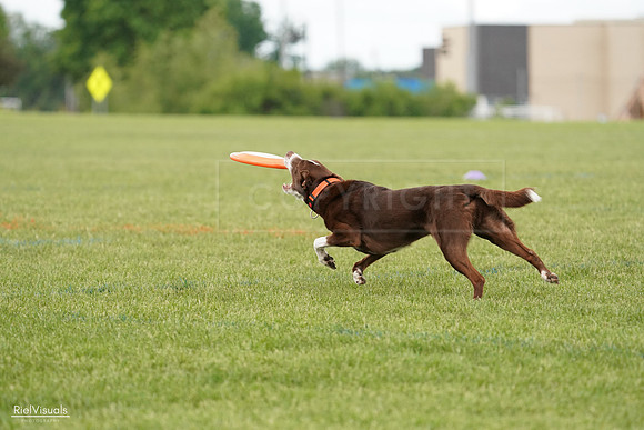 RielVisuals_20240527_140310_SJR01286