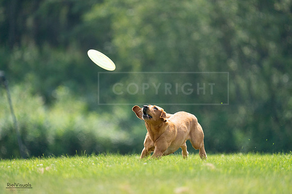 RielVisuals_20240727_122424_SJR05480