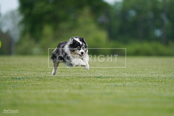 RielVisuals_20240525_163008_SJR04592