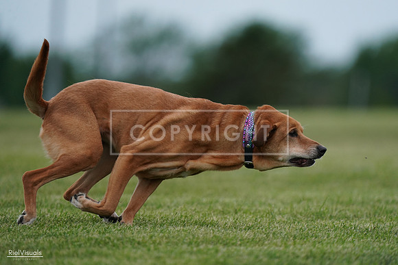 RielVisuals_20240525_161832_SJR04039