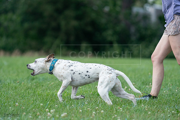 RielVisuals_20240727_145113_SJR01359