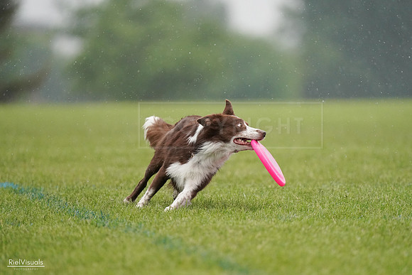 RielVisuals_20240527_104349_SJR01377
