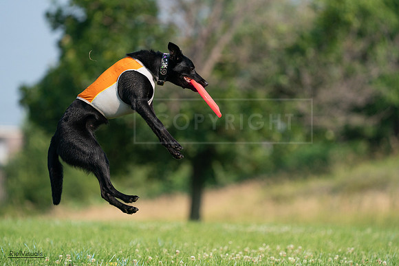 RielVisuals_20240727_093320_SJR06786