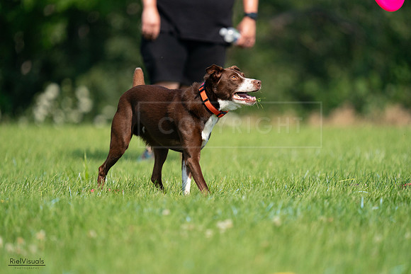 RielVisuals_20240727_100701_SJR08580