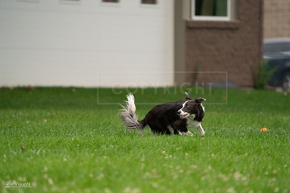 RielVisuals_20240722_192644_SJR00947