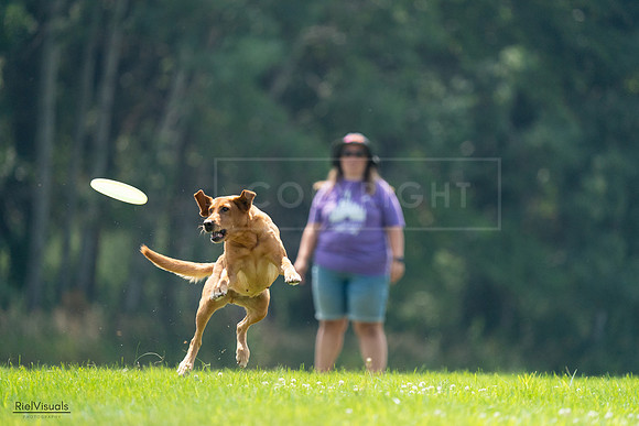 RielVisuals_20240727_122346_SJR05421