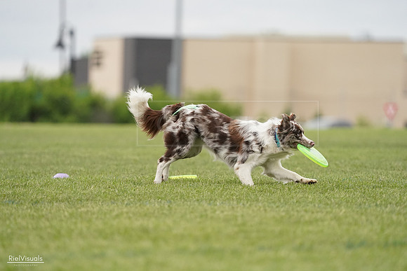 RielVisuals_20240526_132947_SJR07986