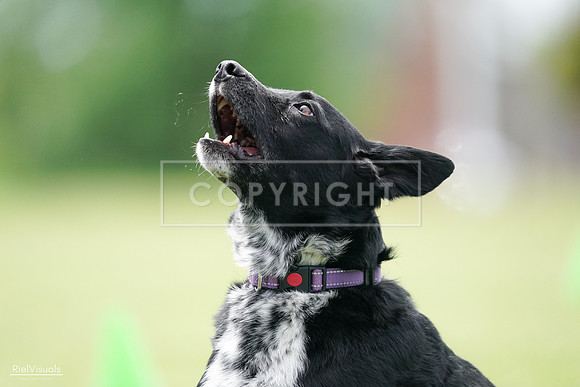 RielVisuals_20240525_124750_SJR01204