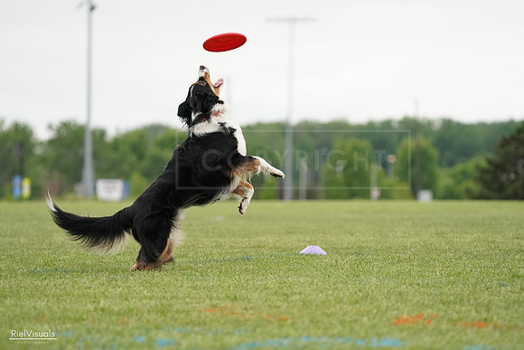 RielVisuals_20240526_131801_SJR07470