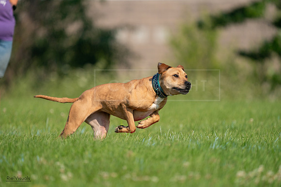 RielVisuals_20240727_093037_SJR06532