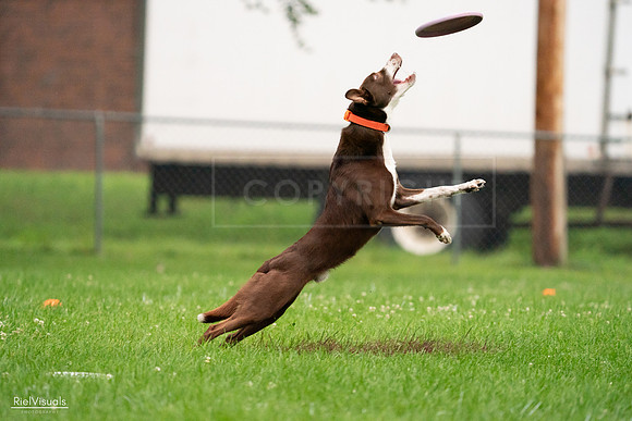 RielVisuals_20240722_191842_SJR00530
