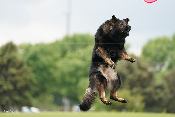 RielVisuals_20240527_132926_SJR09957