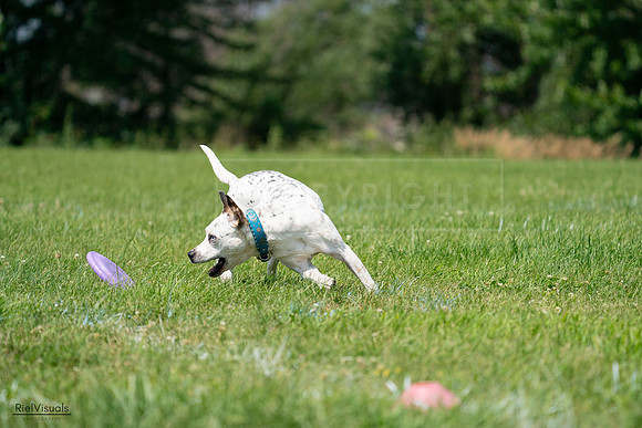 RielVisuals_20240728_120554_SJR02886