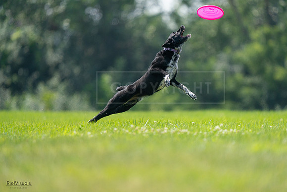 RielVisuals_20240727_125912_SJR06458