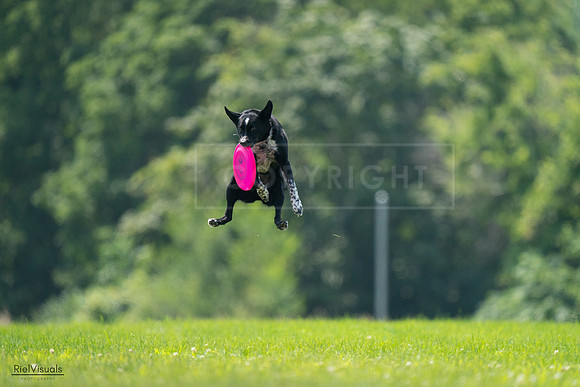 RielVisuals_20240727_125932_SJR06487