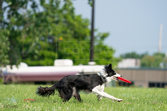 RielVisuals_20240727_092732_SJR06460
