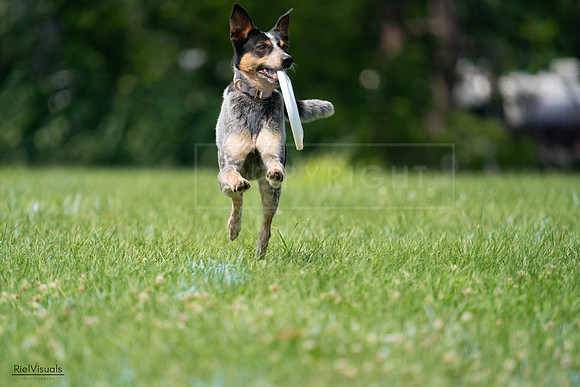 RielVisuals_20240727_134015_SJR08022