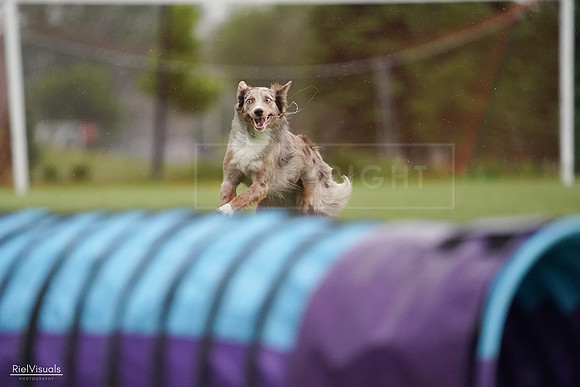 RielVisuals_20240526_092626_SJR00045