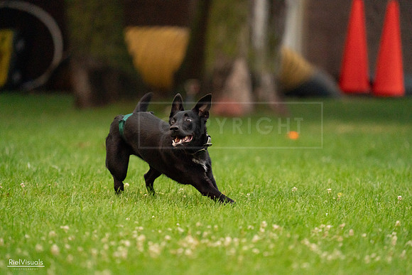 RielVisuals_20240722_195355_SJR02327