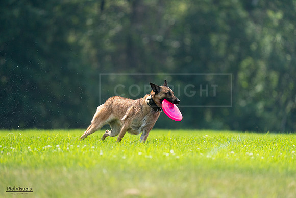 RielVisuals_20240727_123628_SJR05977