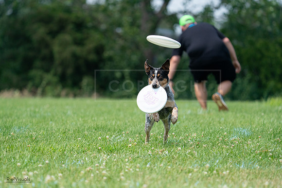 RielVisuals_20240727_133940_SJR07952