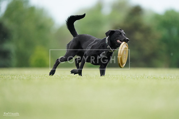 RielVisuals_20240525_160720_SJR03520