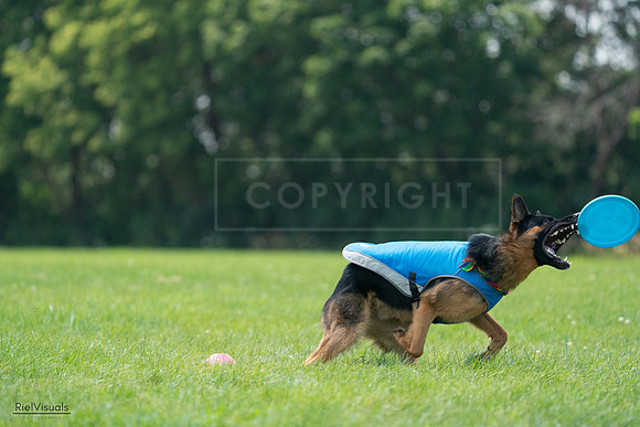 RielVisuals_20240728_135214_SJR07337