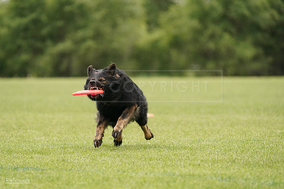 RielVisuals_20240527_132943_SJR00016