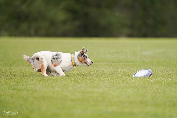 RielVisuals_20240527_140115_SJR01206
