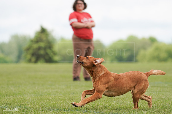 RielVisuals_20240527_141151_SJR01939