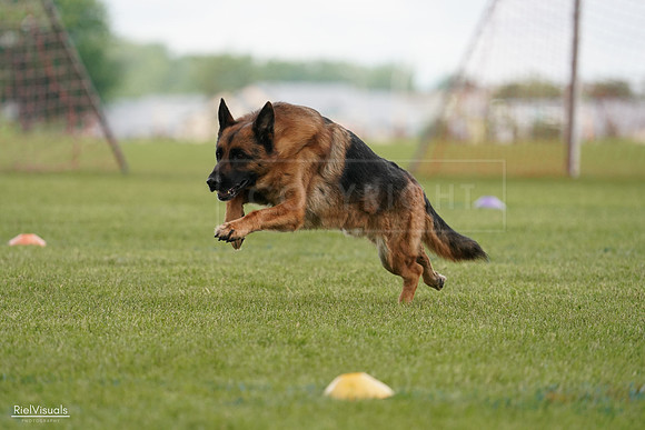RielVisuals_20240527_140659_SJR01444