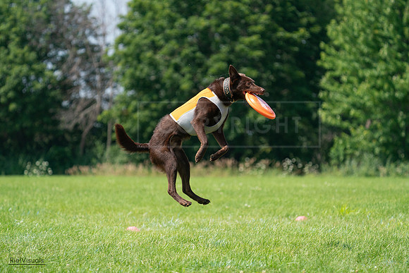 RielVisuals_20240728_114141_SJR01645