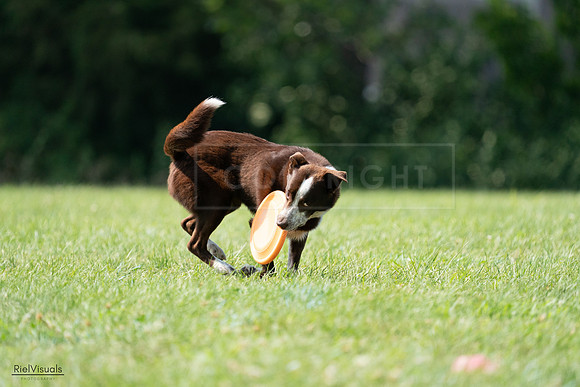 RielVisuals_20240728_152029_SJR00619