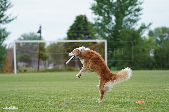 RielVisuals_20240526_101841_SJR09000